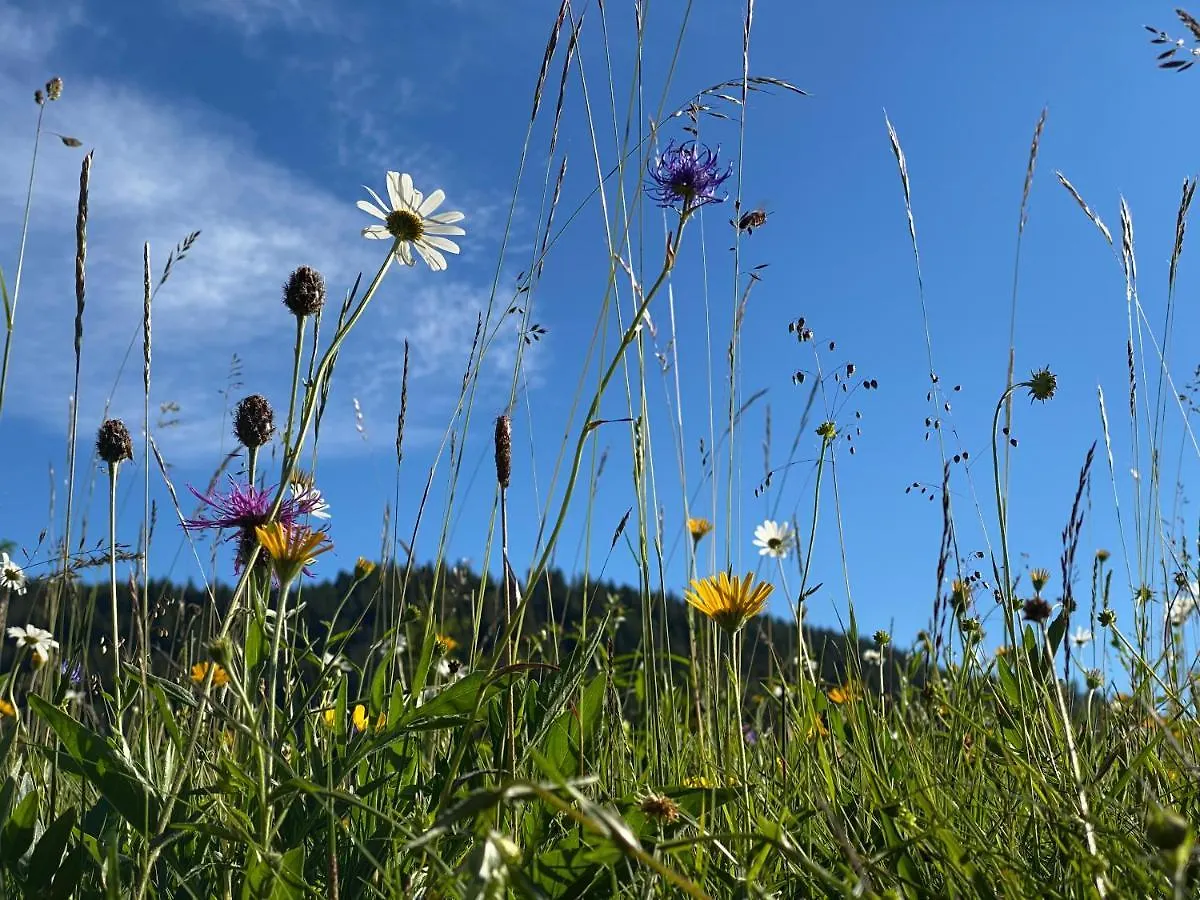 Hotel Alpenhof Kruen 4*, Krün Německo