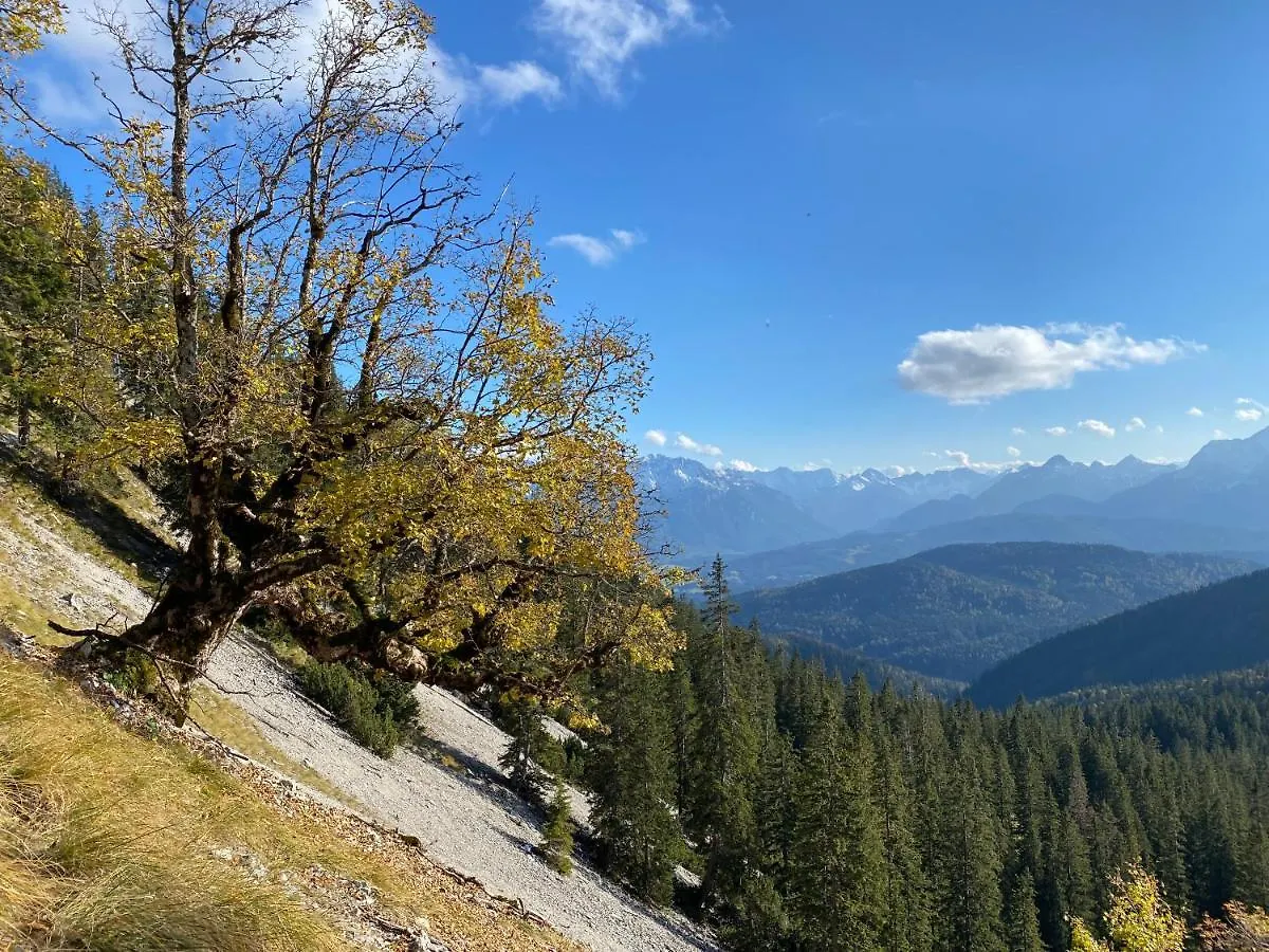 Hotel Alpenhof Kruen  Krün