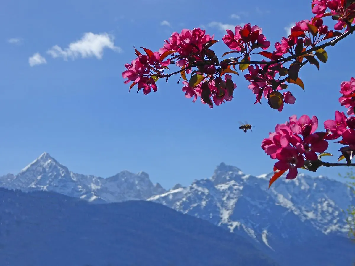 Hotel Alpenhof Kruen 4*, Krün Německo